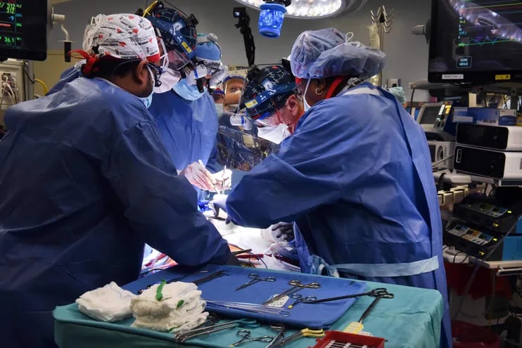 El segundo paciente del mundo en recibir un trasplante de corazón de un cerdo modificado genéticamente falleció seis semanas después de su operación, y un año y medio después de la muerte del primer paciente,  anunció el centro médico estadounidense que llevó a cabo el procedimiento.