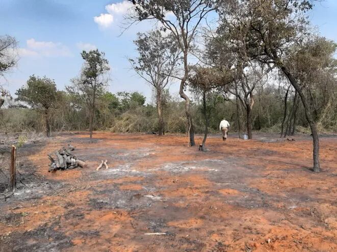 Rastros de incendios  irracionales realizados   dentro de 
la reserva forestal Cerro  Chovoreca, ubicada al norte del departamento de Alto Paraguay.