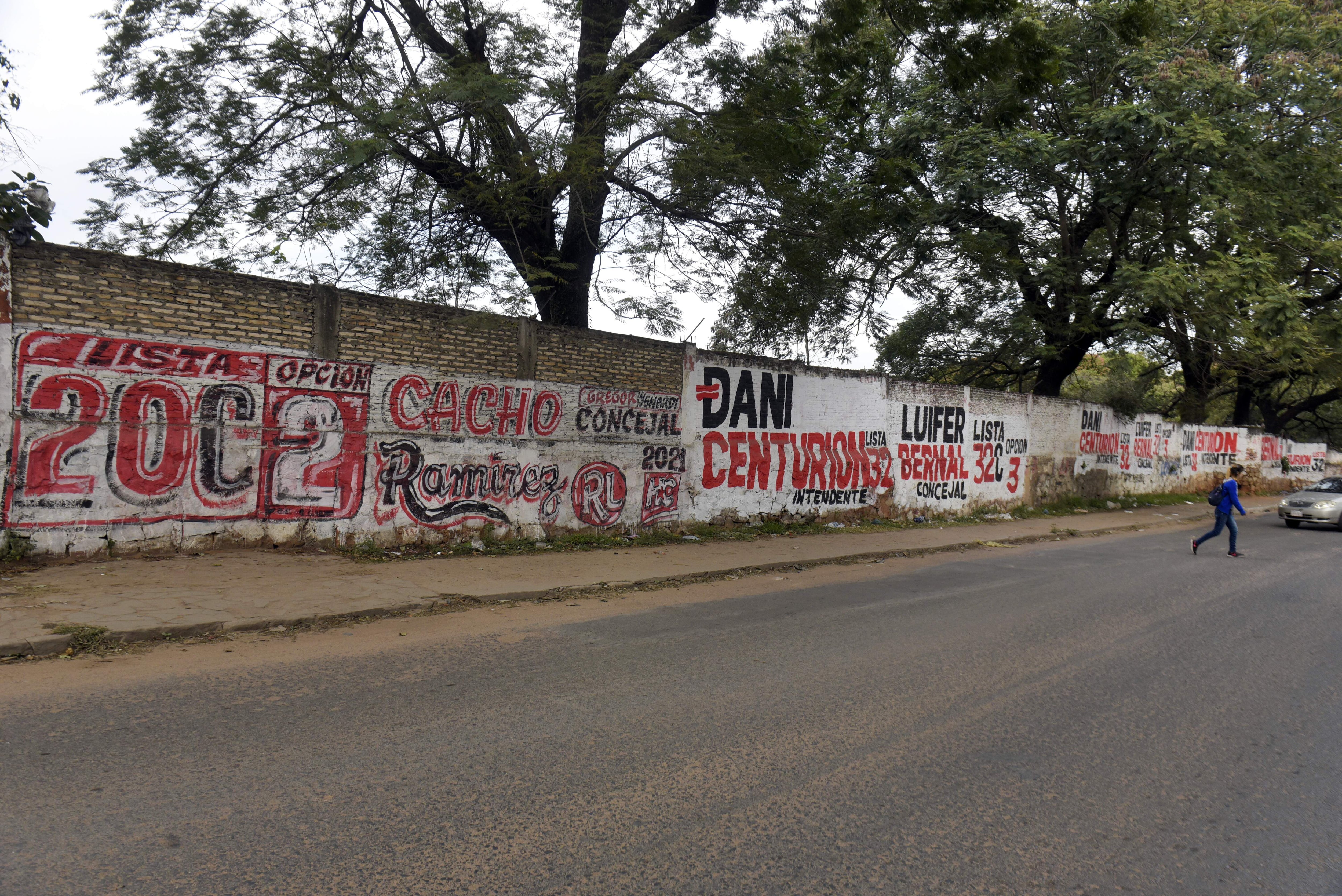 Exceso de murales a destiempo en Avda. Japón y Avda. Marieta Carnavale.