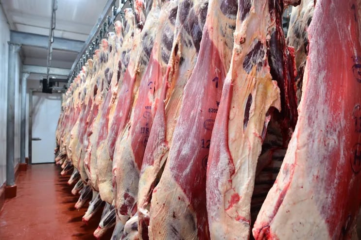 Carne bovina al gancho, en un frigorífico de Paraguay.