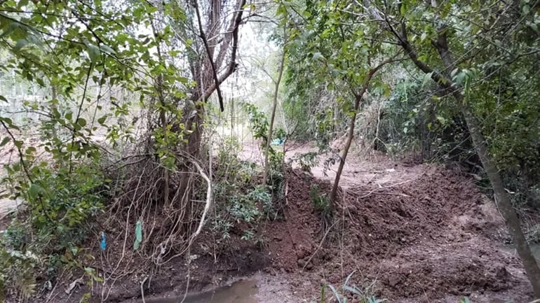 El concejal Federico Franco denunció que la reserva del Botánico no está protegida. En la foto que nos remitió muestra que maquinaria pesada ha entrado al lugar.