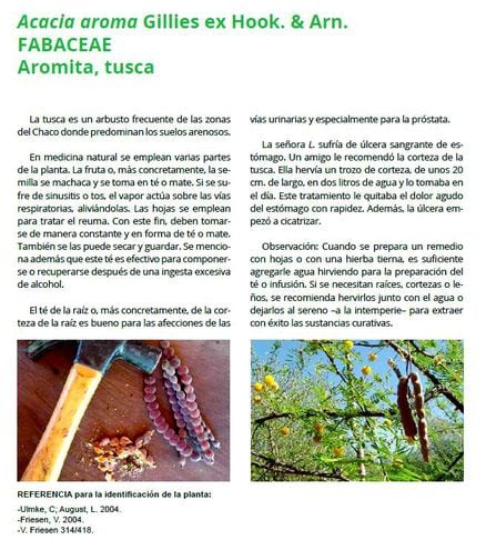 Lanzan Libro Sobre Plantas Medicinales Del Chaco Nacionales
