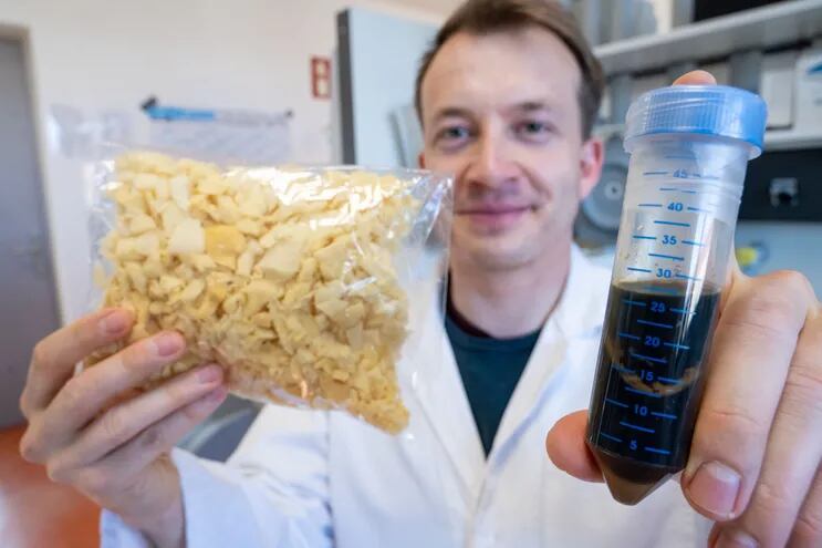 En la lucha contra los residuos plásticos, los investigadores recurren cada vez más a enzimas capaces de digerir algunos plásticos. Branson forma parte de un equipo que descubrió recientemente varias enzimas capaces de descomponer el poliuretano.