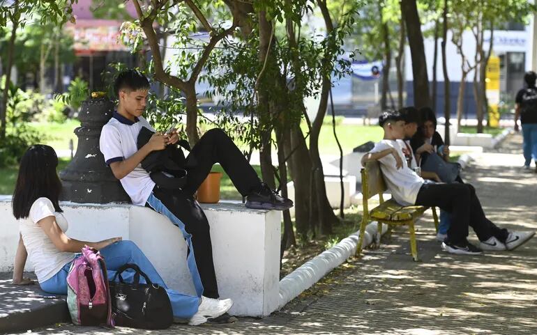Estudiantes toman tereré y se refugian bajo los árboles de una plaza céntrica ante el intenso calor.