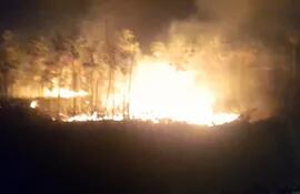 Incendio forestal en Fuerte Olimpo.