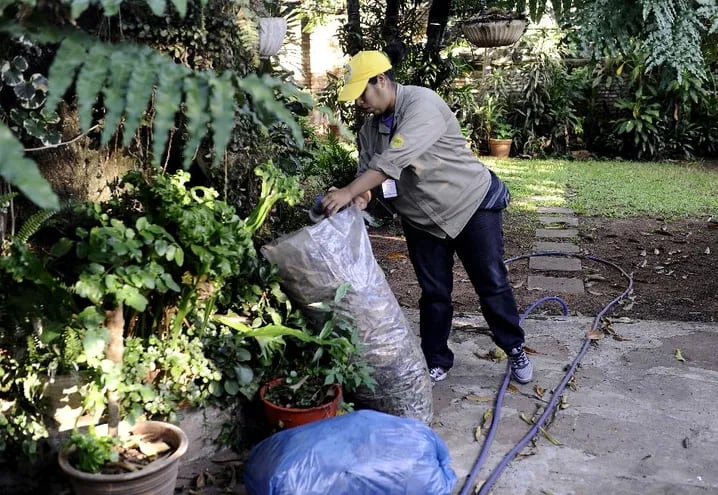 El Ministerio de Salud pide limpiar las casas y eliminar los criaderos para evitar una epidemia de dengue.