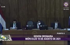 Sesión ordinaria de la Cámara de Diputados presidida por el diputado Enrique Mineur (PLRA).