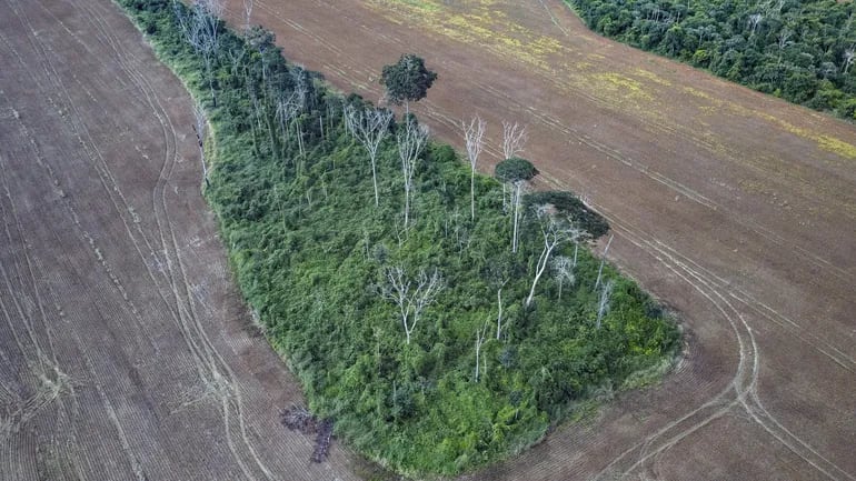 Más de un tercio de la Amazonia se habría degradado por la actividad humana y las sequías, dijeron este jueves investigadores, y se requieren acciones para proteger ese ecosistema crucial.