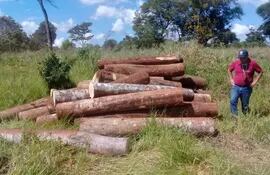 constatan-extraccion-ilegal-de-madera-en-reserva-san-rafael-225035000000-1822336.jpg