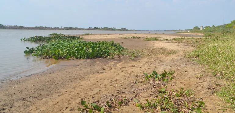 Así se encuentra el río Paraguay en la zona norte; se observan bancos y playas de arena.