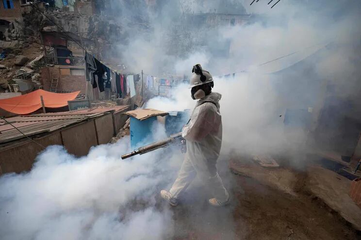 Un miembro de una brigada de salud fumiga una calle en el distrito de San Juan de Lurigancho, Lima, el 11 de mayo de 2023.